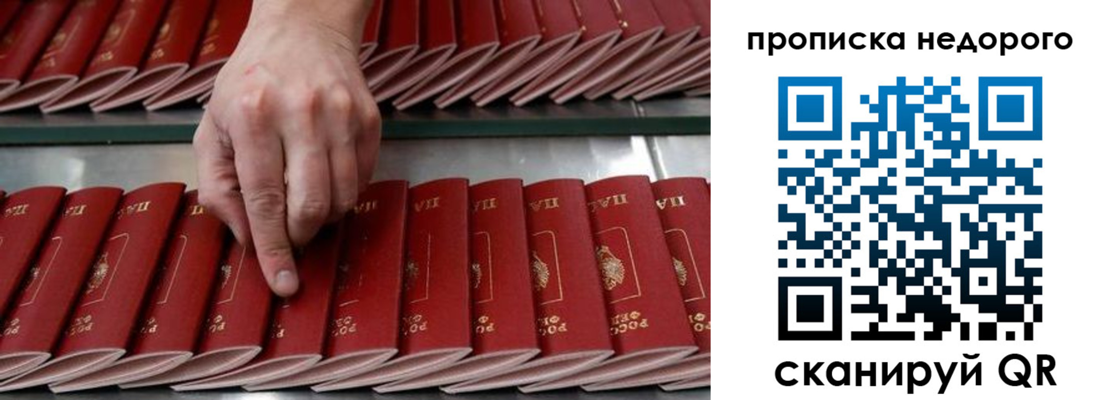 прописка регистрация в Новоалтайске